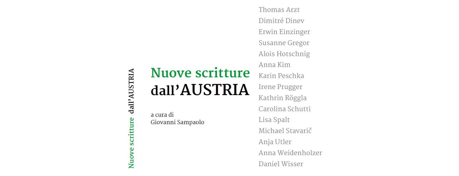 Nuove scritture dall'Austria Book Cover