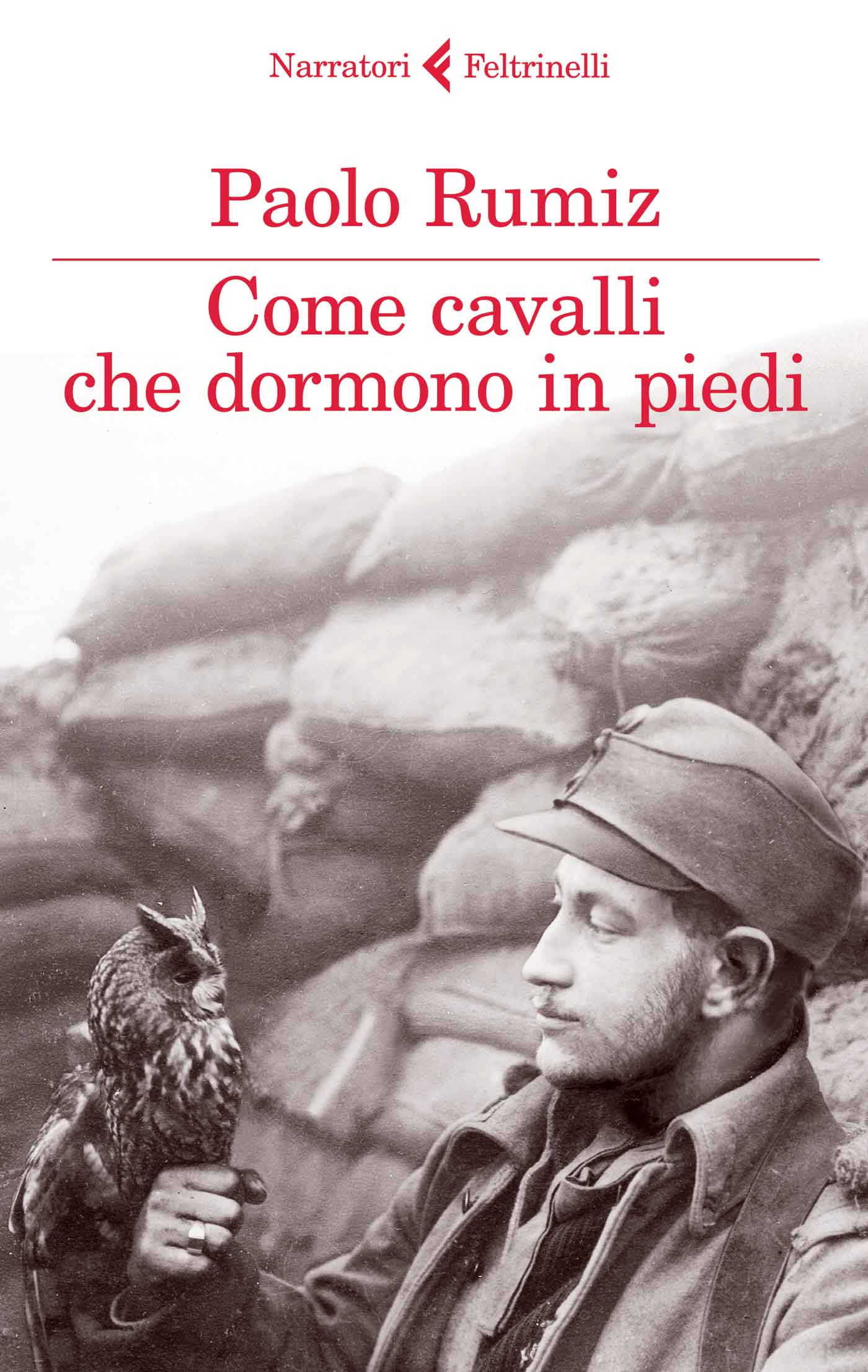 Come cavalli che dormono in piedi Book Cover