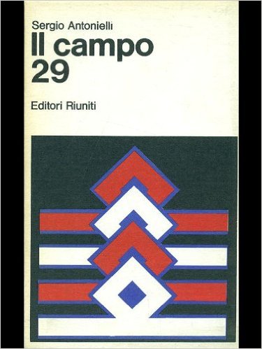 Il campo 29 Book Cover