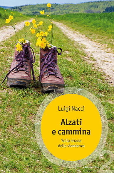 Alzati e cammina. Sulla strada della viandanza Book Cover