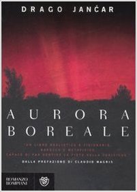 Aurora boreale Book Cover
