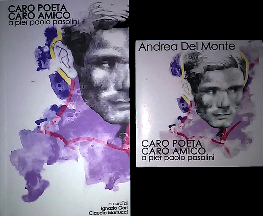 Caro poeta, caro amico Book Cover