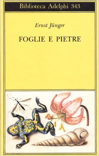 Foglie e pietre Book Cover