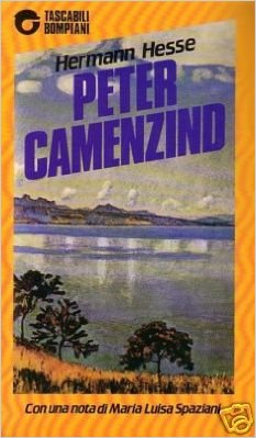 Peter Camenzind Book Cover