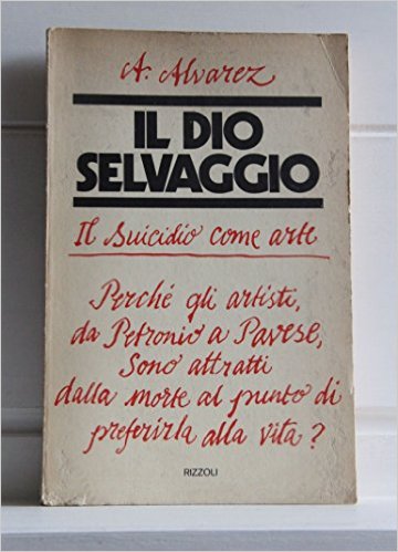 Il Dio selvaggio Book Cover