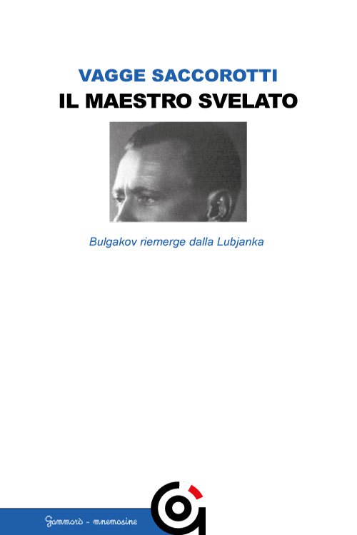 Il maestro svelato Book Cover